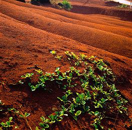 超自然射击游戏《埃尔帕索，身在他处》将改编真人作品